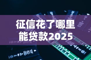 征信花了哪里能贷款2025？这5种渠道或能帮到你！