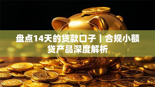 盘点14天的贷款口子｜合规小额贷产品深度解析