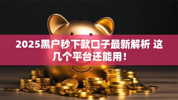 2025黑户秒下款口子最新解析 这几个平台还能用！