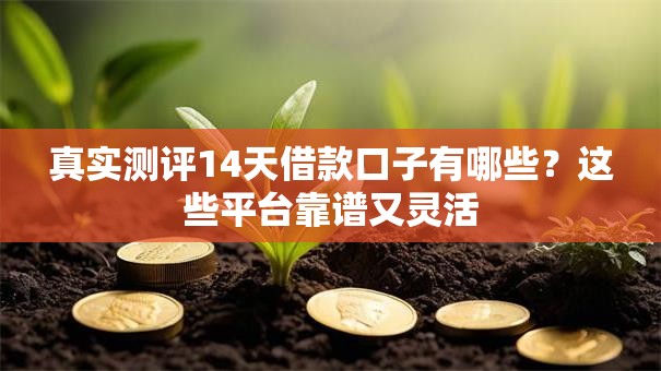 真实测评14天借款口子有哪些？这些平台靠谱又灵活
