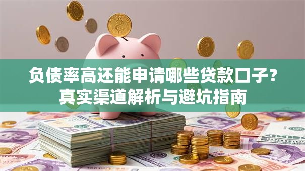 负债率高还能申请哪些贷款口子？真实渠道解析与避坑指南