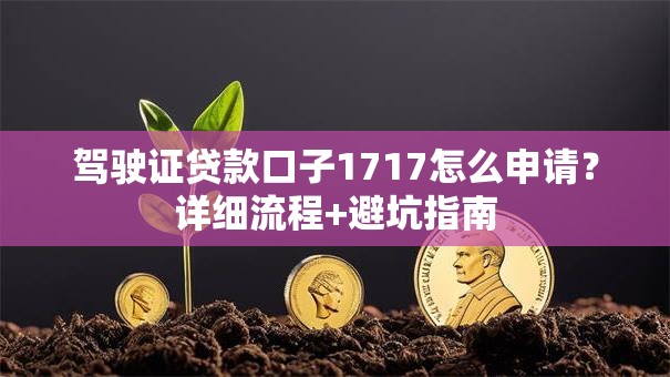 驾驶证贷款口子1717怎么申请？详细流程+避坑指南