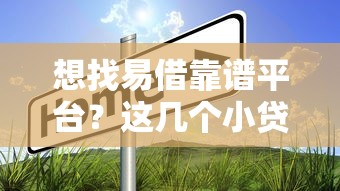 想找易借靠谱平台？这几个小贷口子真实评测别错过
