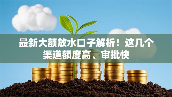 最新大额放水口子解析！这几个渠道额度高、审批快