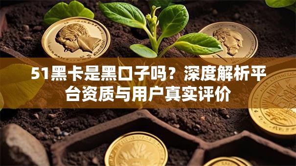 51黑卡是黑口子吗？深度解析平台资质与用户真实评价