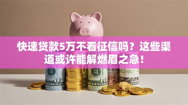 快速贷款5万不看征信吗？这些渠道或许能解燃眉之急！