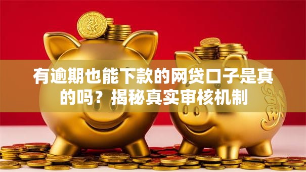 有逾期也能下款的网贷口子是真的吗？揭秘真实审核机制