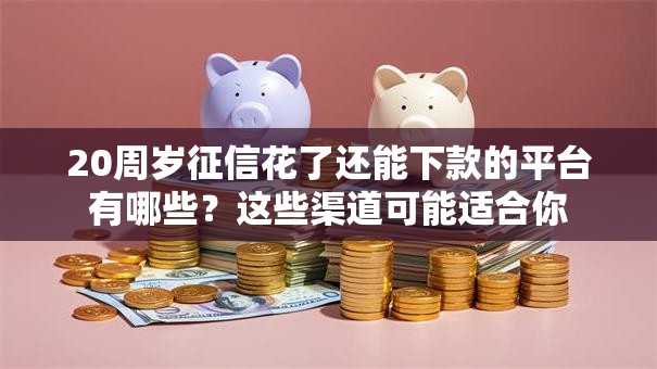 20周岁征信花了还能下款的平台有哪些？这些渠道可能适合你