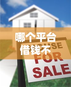 哪个平台借钱不看负债？低门槛借款渠道真实测评