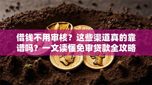 借钱不用审核？这些渠道真的靠谱吗？一文读懂免审贷款全攻略