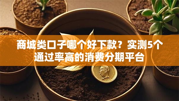 商城类口子哪个好下款？实测5个通过率高的消费分期平台