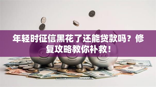 年轻时征信黑花了还能贷款吗？修复攻略教你补救！