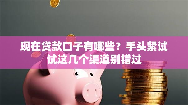 现在贷款口子有哪些？手头紧试试这几个渠道别错过