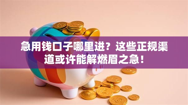 急用钱口子哪里进？这些正规渠道或许能解燃眉之急！