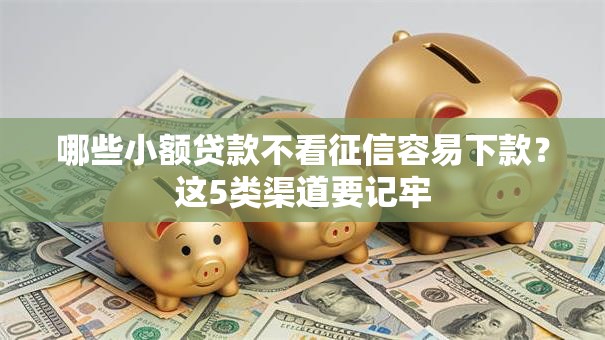 哪些小额贷款不看征信容易下款？这5类渠道要记牢