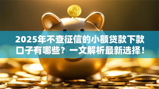 2025年不查征信的小额贷款下款口子有哪些？一文解析最新选择！