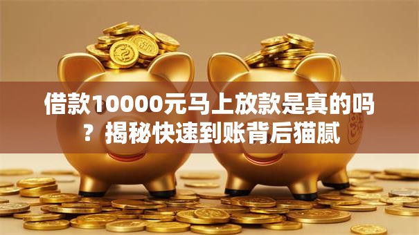 借款10000元马上放款是真的吗？揭秘快速到账背后猫腻
