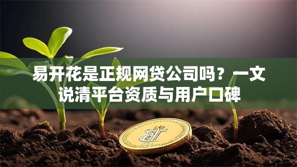 易开花是正规网贷公司吗？一文说清平台资质与用户口碑