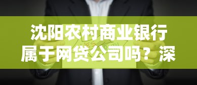 沈阳农村商业银行属于网贷公司吗？深度解析两者区别与贷款选择