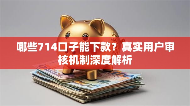 哪些714口子能下款？真实用户审核机制深度解析