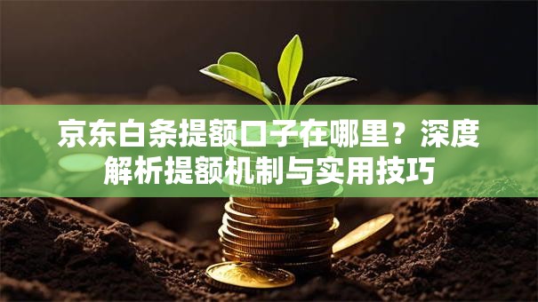 京东白条提额口子在哪里？深度解析提额机制与实用技巧