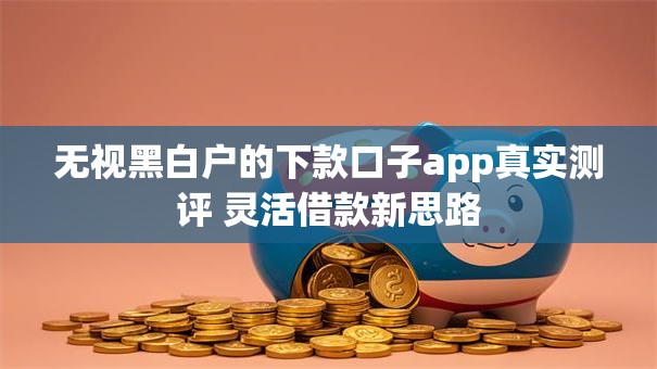 无视黑白户的下款口子app真实测评 灵活借款新思路