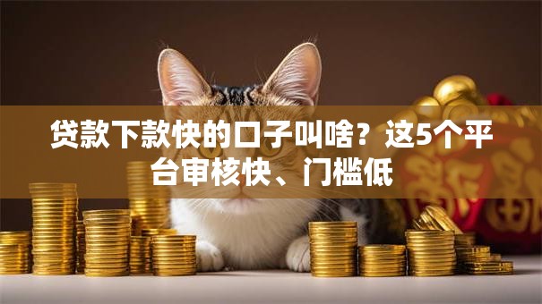 贷款下款快的口子叫啥？这5个平台审核快、门槛低