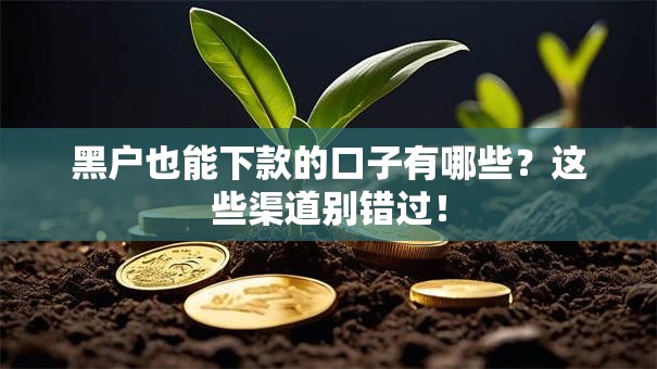 黑户也能下款的口子有哪些？这些渠道别错过！