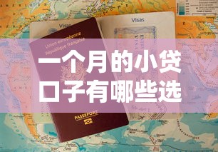 一个月的小贷口子有哪些选择？这些实用技巧助你快速申请