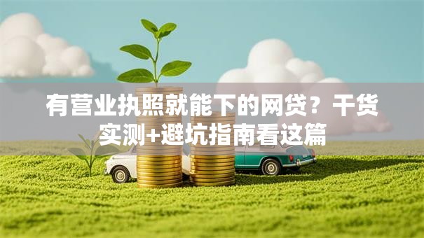 有营业执照就能下的网贷？干货实测+避坑指南看这篇