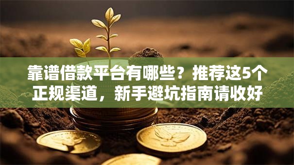 靠谱借款平台有哪些？推荐这5个正规渠道，新手避坑指南请收好