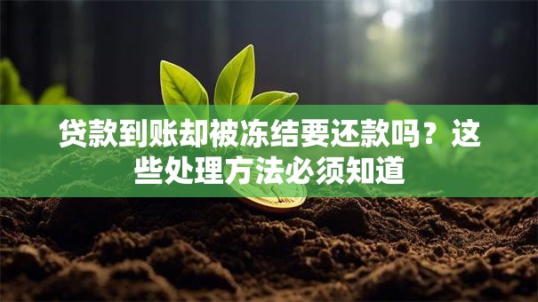 贷款到账却被冻结要还款吗？这些处理方法必须知道