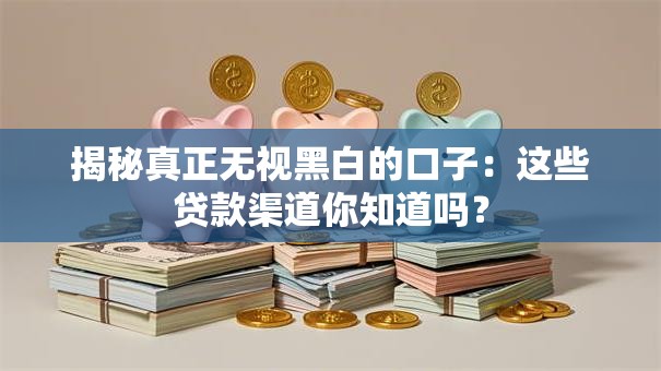 揭秘真正无视黑白的口子：这些贷款渠道你知道吗？