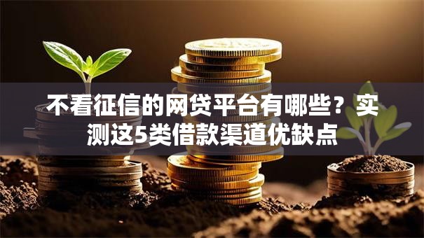 不看征信的网贷平台有哪些？实测这5类借款渠道优缺点