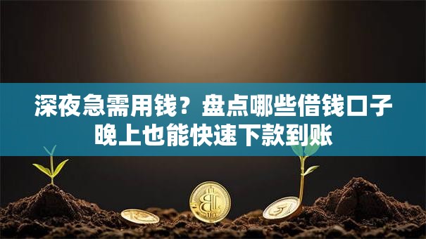 深夜急需用钱？盘点哪些借钱口子晚上也能快速下款到账