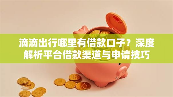滴滴出行哪里有借款口子？深度解析平台借款渠道与申请技巧