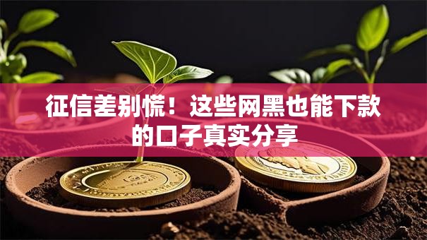 征信差别慌！这些网黑也能下款的口子真实分享