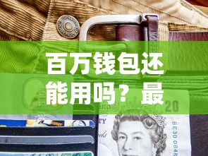百万钱包还能用吗？最新贷款服务解析来了！