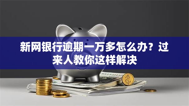 新网银行逾期一万多怎么办？过来人教你这样解决