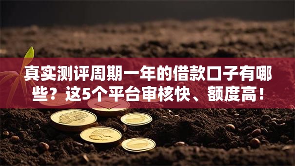 真实测评周期一年的借款口子有哪些？这5个平台审核快、额度高！
