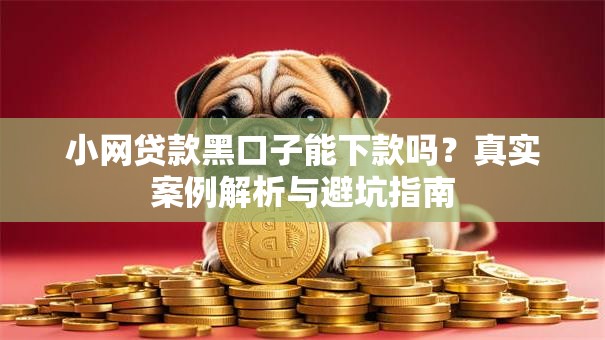 小网贷款黑口子能下款吗？真实案例解析与避坑指南