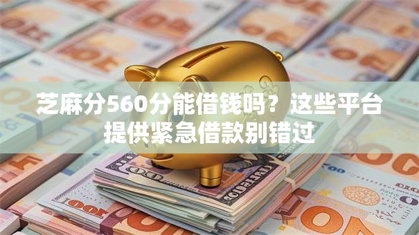 芝麻分560分能借钱吗？这些平台提供紧急借款别错过
