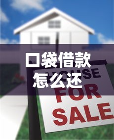 口袋借款怎么还款？超全还款方式与注意事项详解