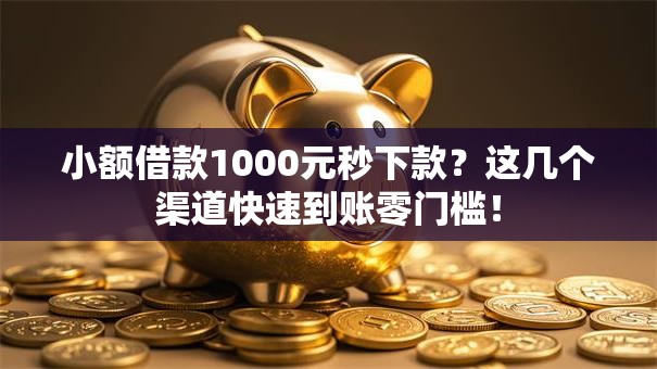 小额借款1000元秒下款？这几个渠道快速到账零门槛！