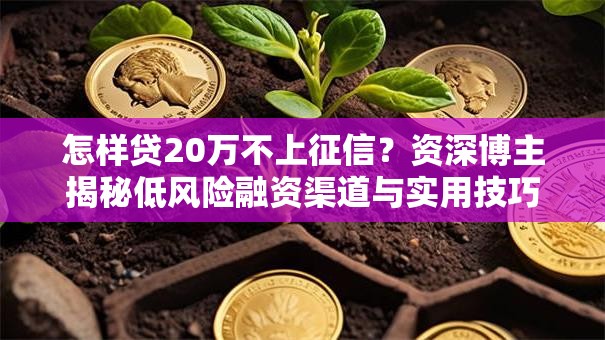 怎样贷20万不上征信？资深博主揭秘低风险融资渠道与实用技巧