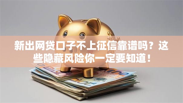 新出网贷口子不上征信靠谱吗？这些隐藏风险你一定要知道！
