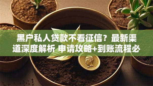 黑户私人贷款不看征信？最新渠道深度解析 申请攻略+到账流程必看！