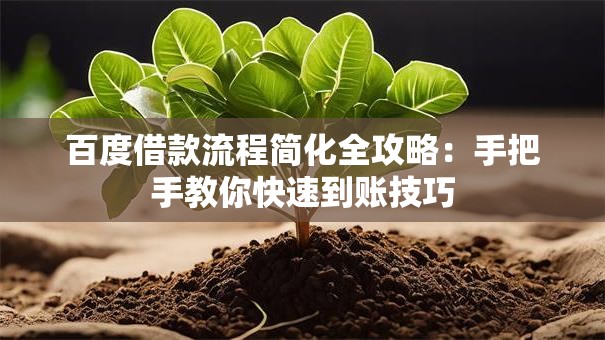 百度借款流程简化全攻略：手把手教你快速到账技巧