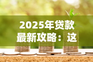 2025年贷款最新攻略：这5类资质好批的信用贷必看！