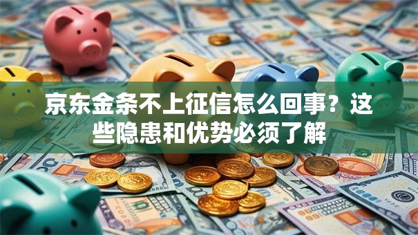 京东金条不上征信怎么回事？这些隐患和优势必须了解